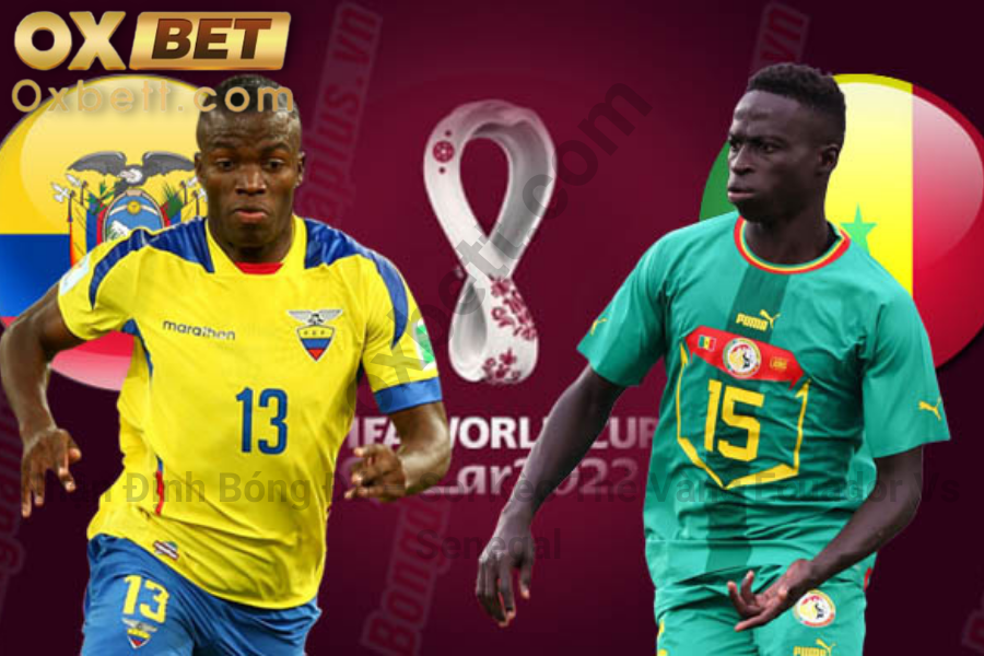 Soi kèo thẻ vàng Ecuador vs Senegal 2