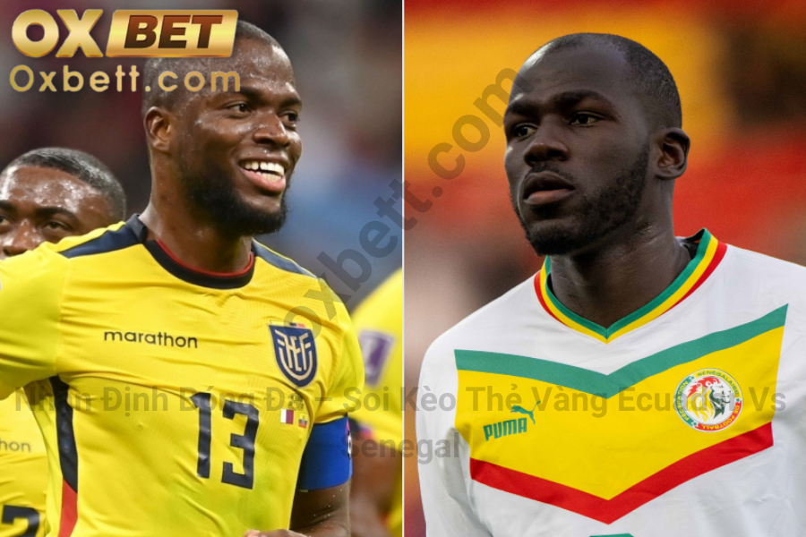 Soi kèo thẻ vàng Ecuador vs Senegal 3