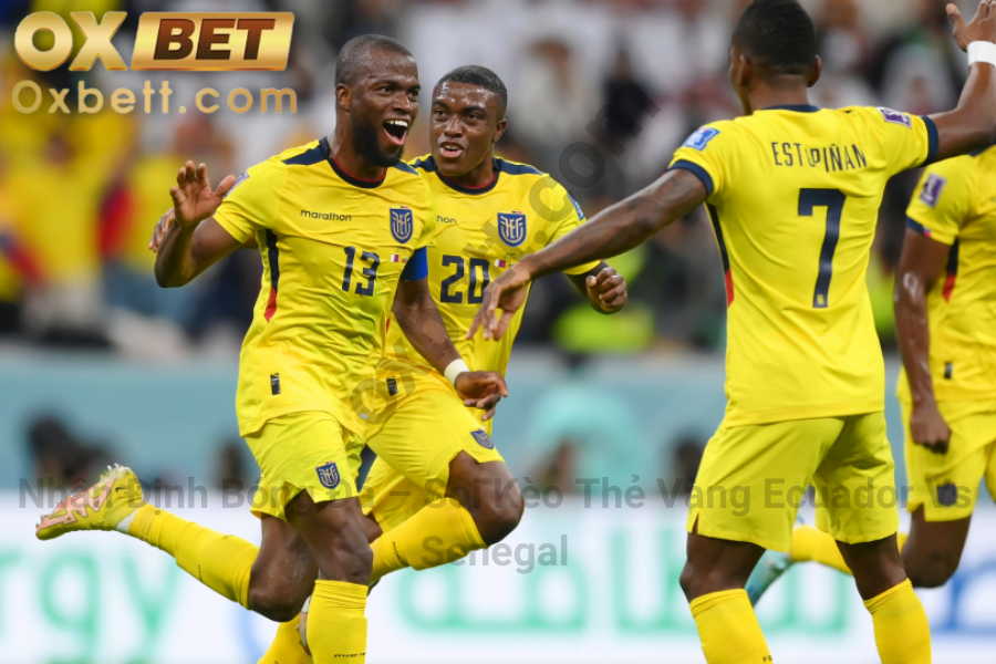 Soi kèo thẻ vàng Ecuador vs Senegal 4