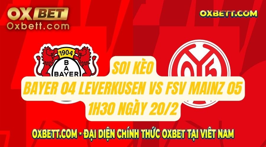 Bayer 04 Leverkusen vs FSV Mainz 05 1